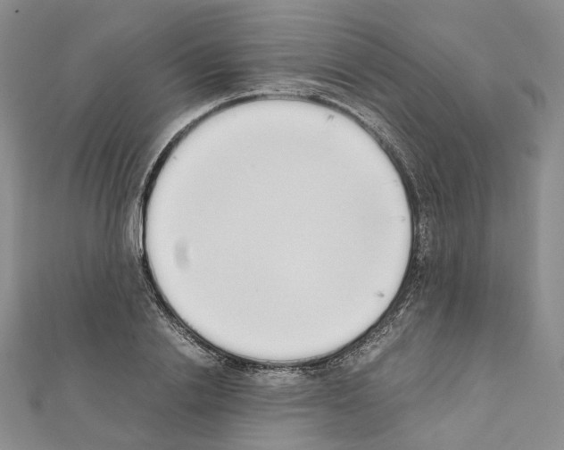X0000111450838200908241204