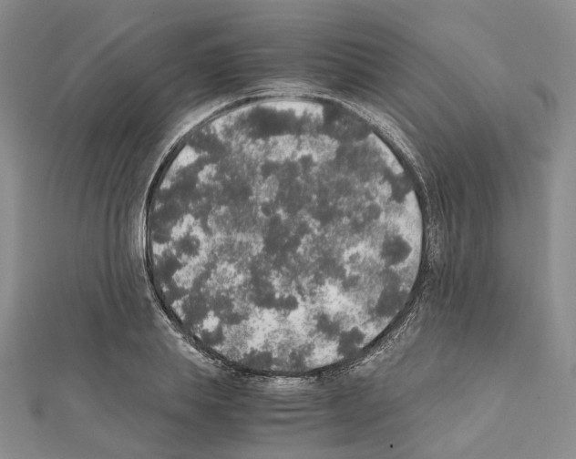 X0000111450839200908241204
