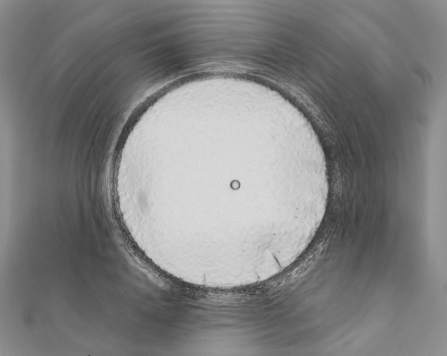 X0000111450840200908241204