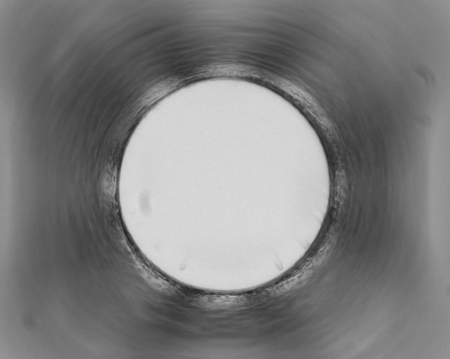 X0000111450841200908241204