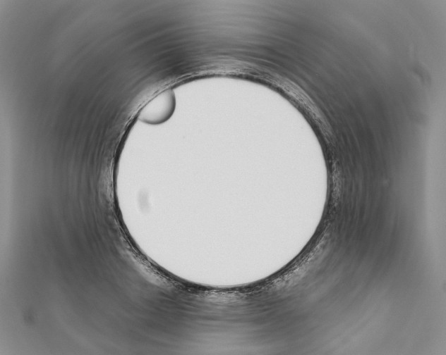 X0000111450842200908241204