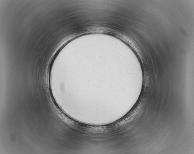 X0000111450843200908241204