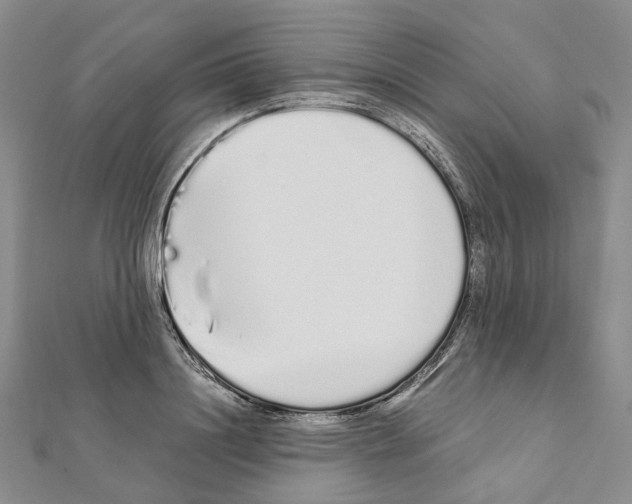 X0000111450844200908241204