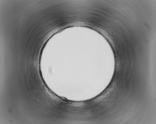 X0000111450845200908241204