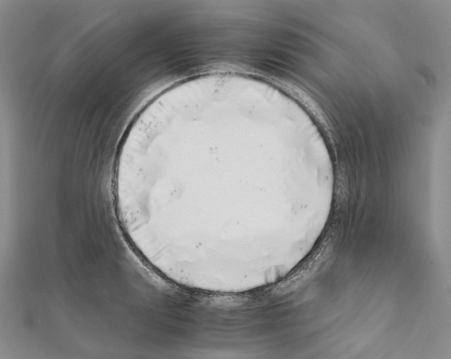 X0000111450847200908241204