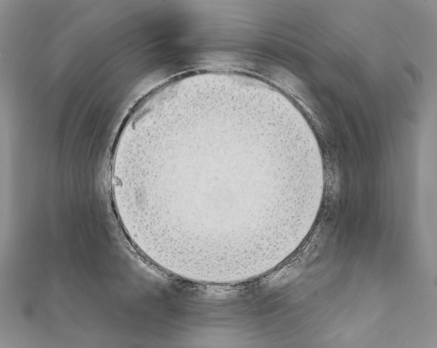 X0000111450848200908241204