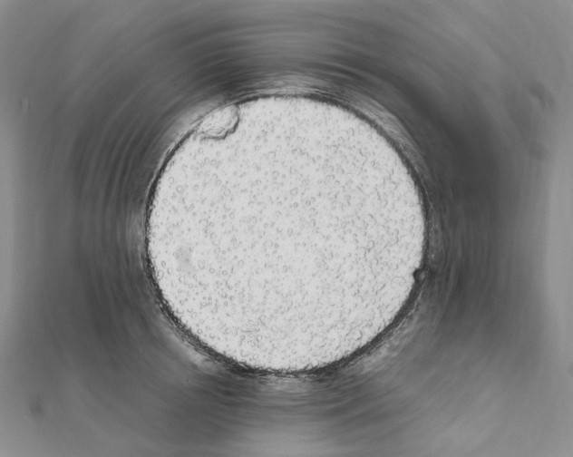 X0000111450850200908241204