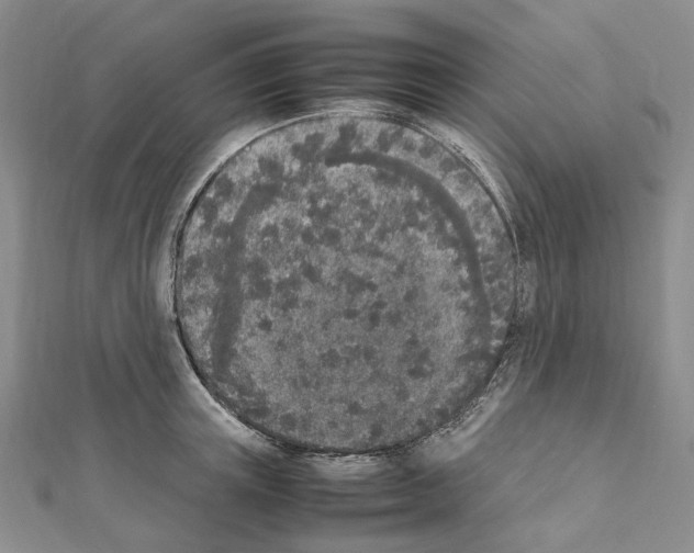 X0000111450851200908241204