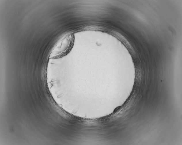 X0000111450852200908241204