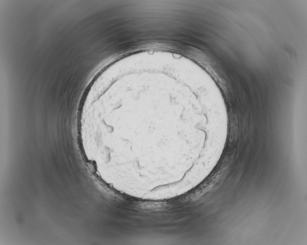 X0000111450853200908241204