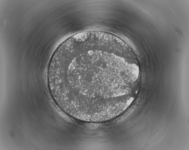X0000111450854200908241204