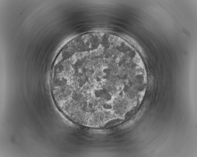 X0000111450855200908241204