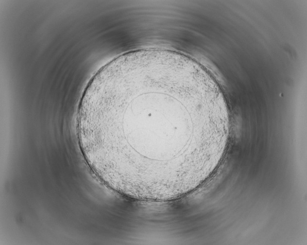 X0000111450856200908241204