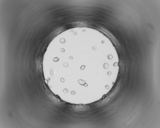 X0000111450857200908241204