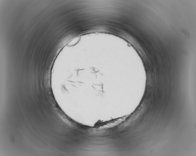 X0000111450858200908241204