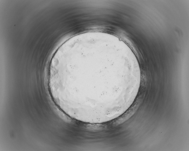 X0000111450859200908241204