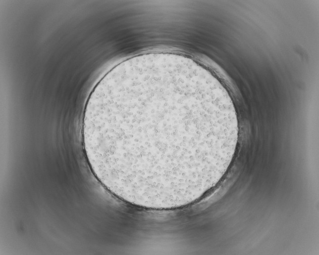 X0000111450860200908241204