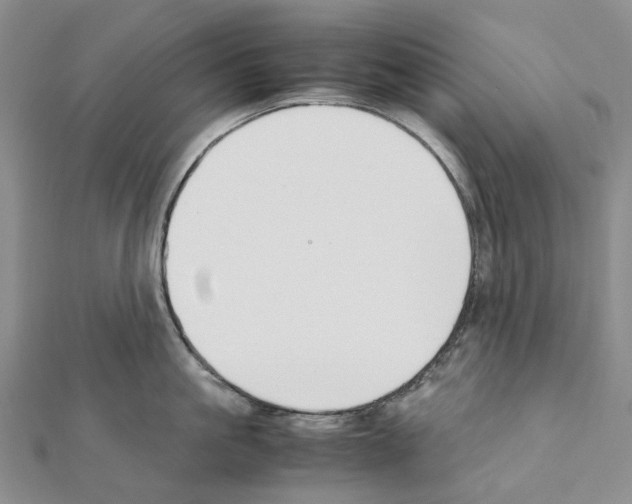 X0000111450861200908241204