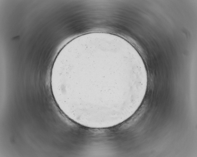 X0000111450862200908241204