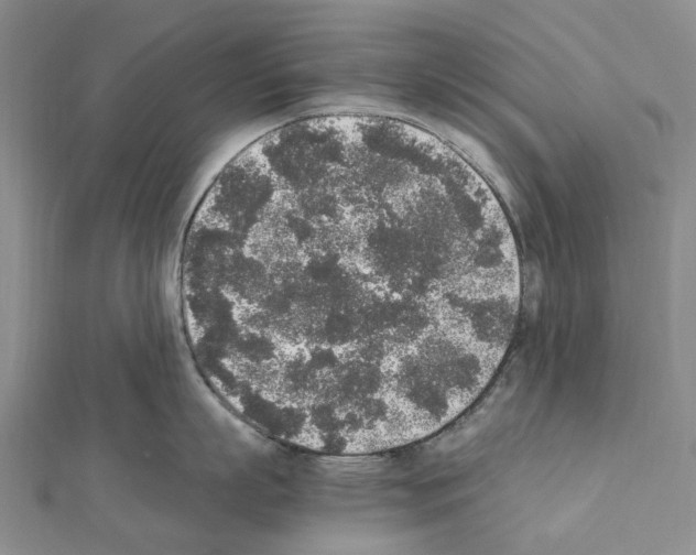X0000111450863200908241204