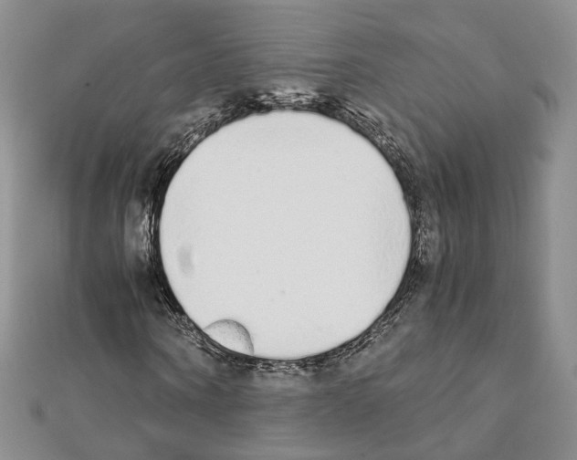 X0000111450866200908241203