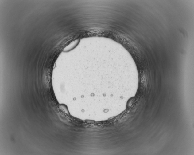 X0000111450868200908241203