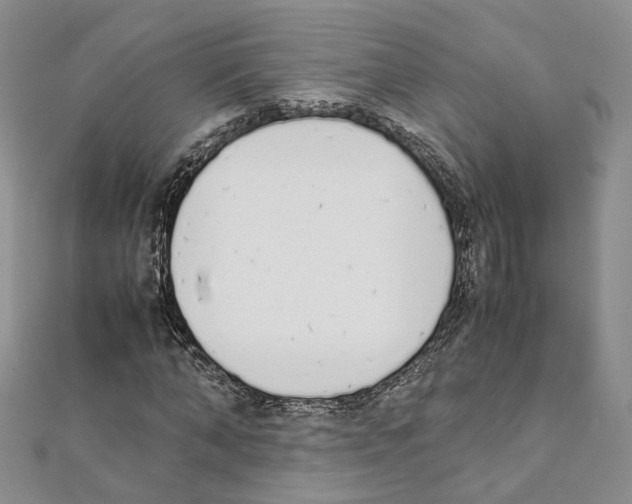 X0000111450870200908241203