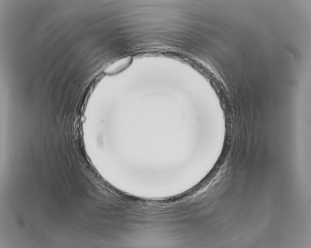X0000111450873200908241203