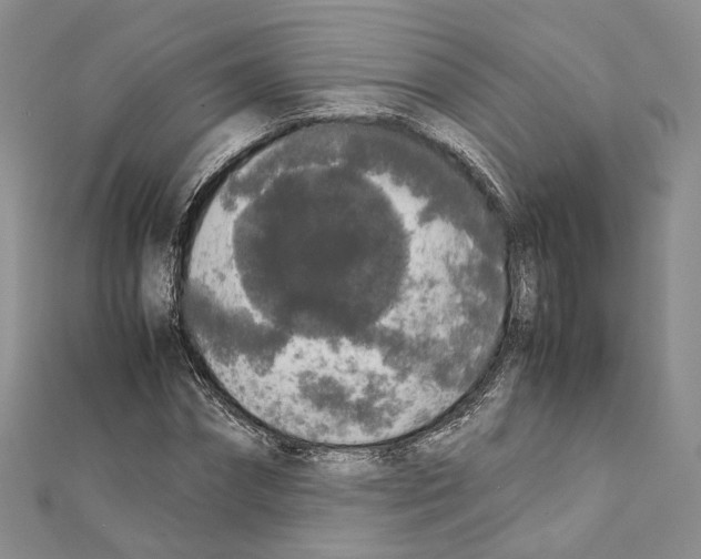 X0000111450874200908241203