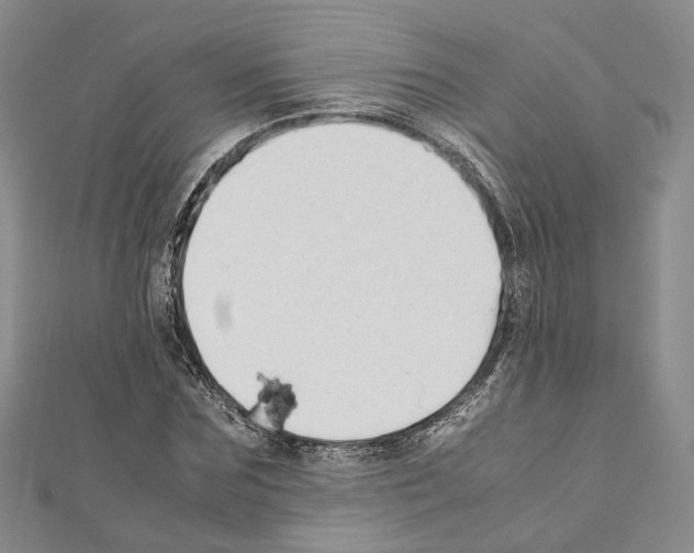 X0000111450875200908241203