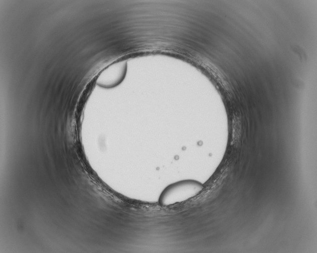 X0000111450876200908241203