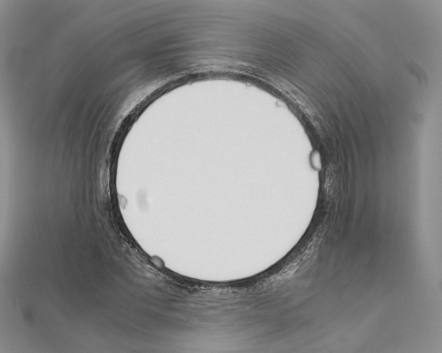 X0000111450877200908241203