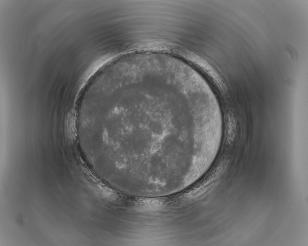 X0000111450878200908241203