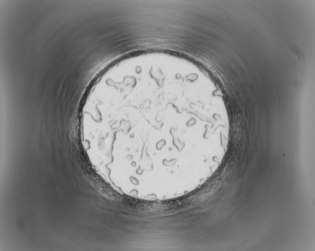 X0000111450879200908241203