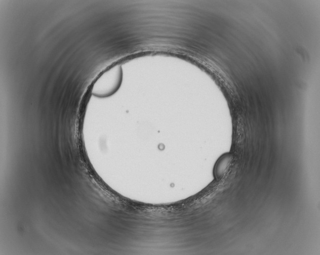 X0000111450880200908241203