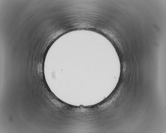 X0000111450881200908241203