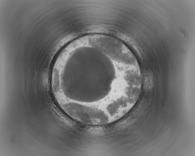 X0000111450882200908241203