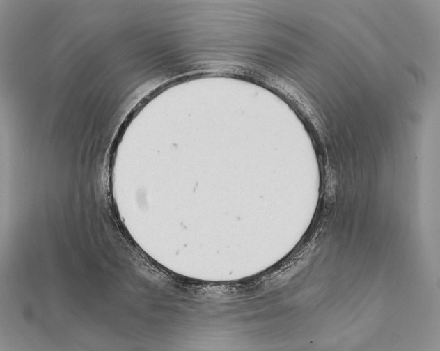X0000111450883200908241203
