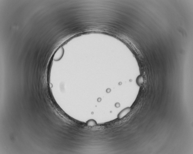 X0000111450884200908241203