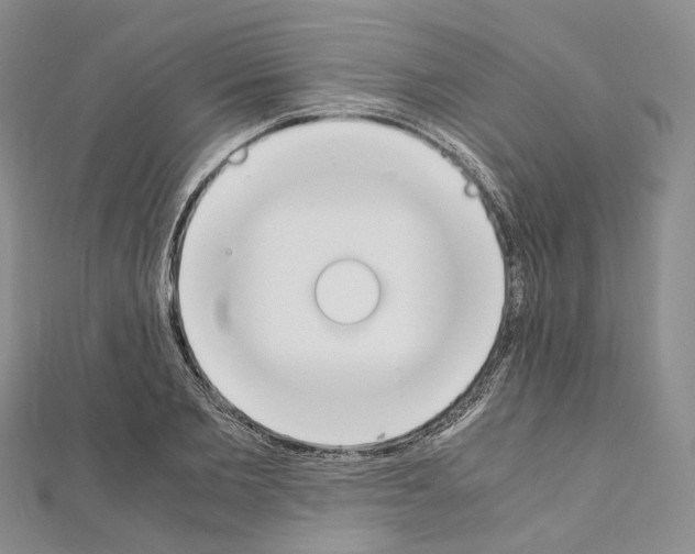 X0000111450885200908241203