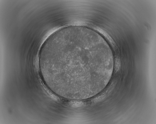 X0000111450886200908241203