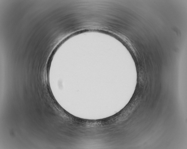 X0000111450887200908241203