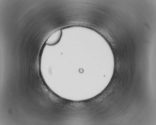 X0000111450888200908241203
