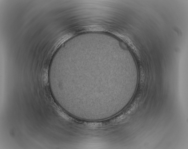 X0000111450889200908241203