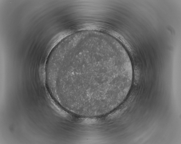 X0000111450890200908241203