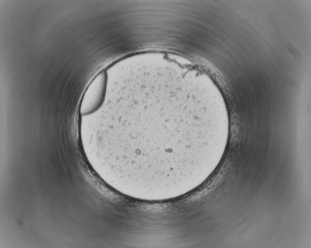 X0000111450892200908241203