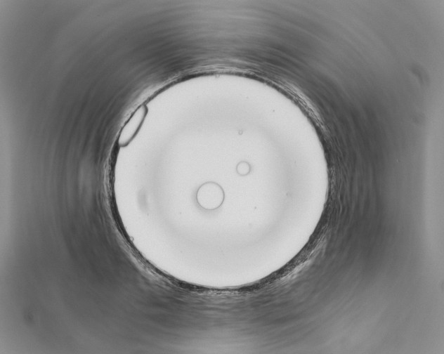 X0000111450893200908241203