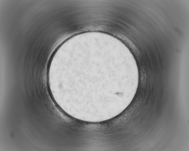 X0000111450894200908241203
