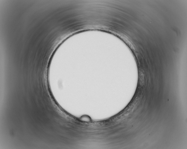 X0000111450895200908241203