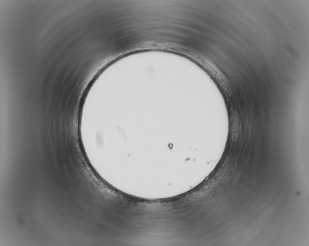 X0000111450896200908241203